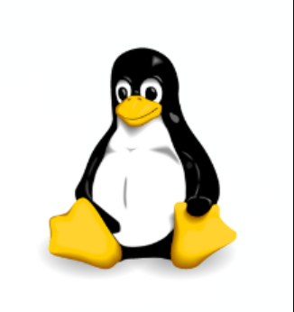 Linux Penguin logo