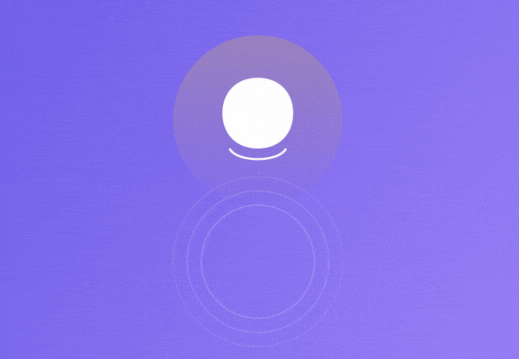 ZenBox